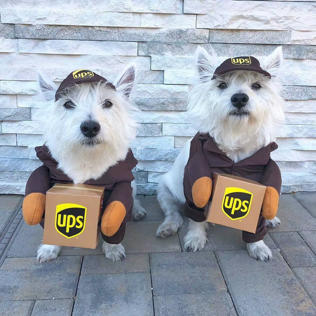 Funny Courier Dog Pet Cat Clothes Halloween Pet Costumes Decorative Cosplay Medium Large Dogs Costume