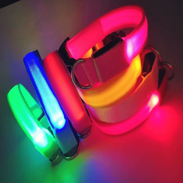 LED Dog Collar Dog Safety Night Light Flashing Necklace Fluorescent Collars Pet Supplies Collar LED Lights Up