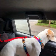 Pet Dog and Cat Seat Belt Car Headrest Restraint Adjustable Safety Rope Car Seat Belt Dog Accessorie for Small Dogs Pet Supplies