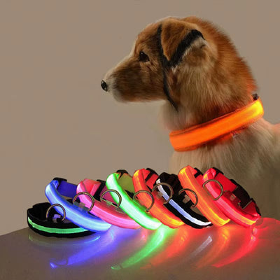 LED Dog Collar Dog Safety Night Light Flashing Necklace Fluorescent Collars Pet Supplies Collar LED Lights Up