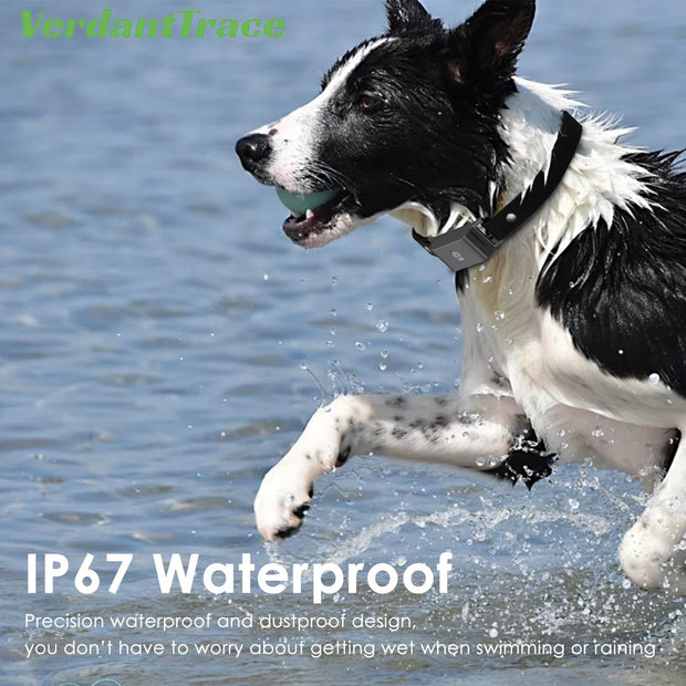 IP67 Waterproof 4G GPS Pet Tracker Collar Real-Time Tracking,Anti-Lost Locator for Dogs Fashionable Neck Collar Pet Tracker