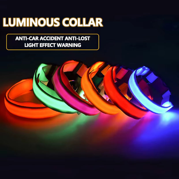LED Dog Collar Dog Safety Night Light Flashing Necklace Fluorescent Collars Pet Supplies Collar LED Lights Up