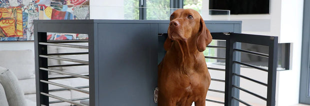Large Dog Crate Furniture Moderno