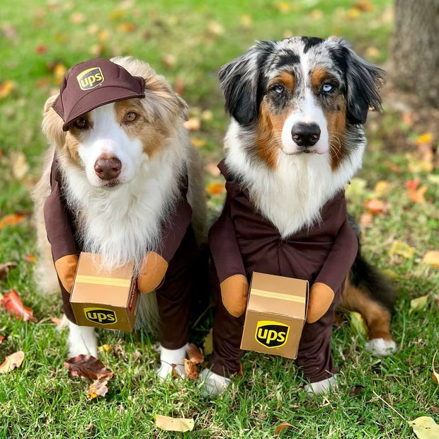 Funny Courier Dog Pet Cat Clothes Halloween Pet Costumes Decorative Cosplay Medium Large Dogs Costume