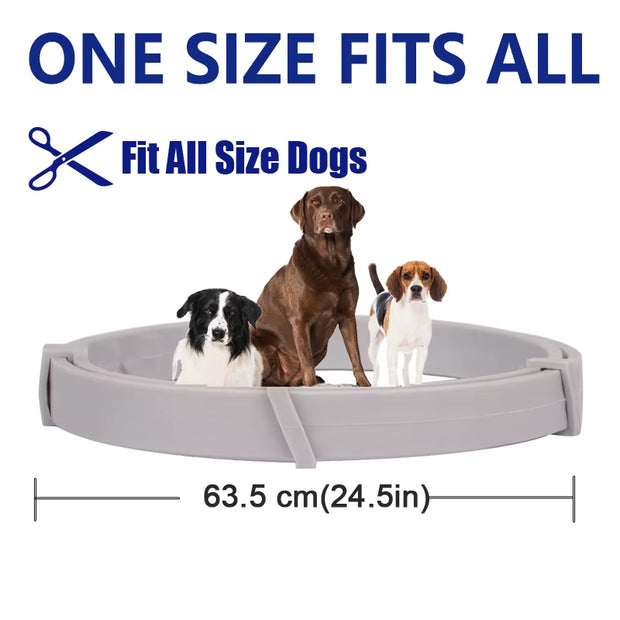Pet Flea and Tick Collar for Dogs Cats up to 8 Month Flea Tick Prevention Collar Anti-Mosquito & Insect Repellent Puppy Supplies