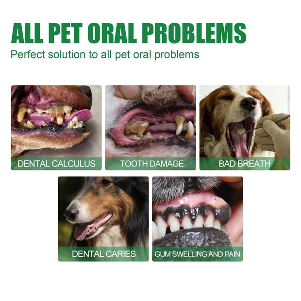 30Ml Pet Tooth Cleaner Spray for Dogs and Cats to Remove Bad Breath Mouth Cleaner Breath Fresher Spray Fresh Fragrance