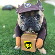 Funny Courier Dog Pet Cat Clothes Halloween Pet Costumes Decorative Cosplay Medium Large Dogs Costume
