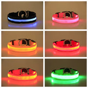LED Dog Collar Dog Safety Night Light Flashing Necklace Fluorescent Collars Pet Supplies Collar LED Lights Up