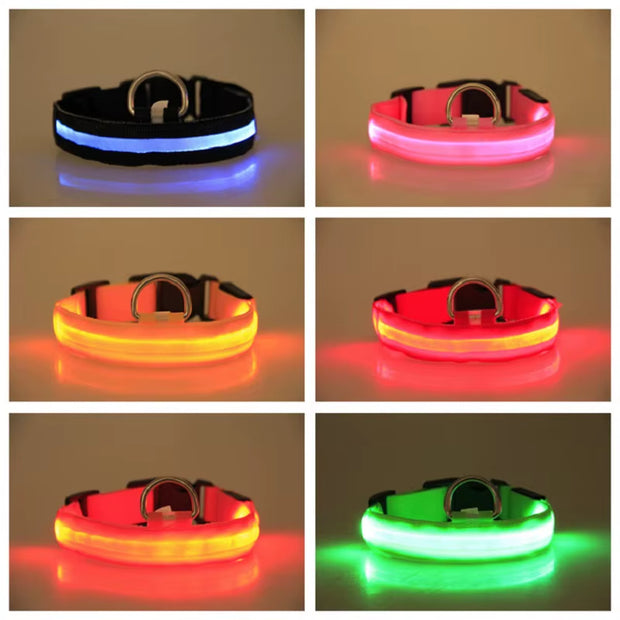 LED Dog Collar Dog Safety Night Light Flashing Necklace Fluorescent Collars Pet Supplies Collar LED Lights Up