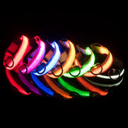 LED Dog Collar Dog Safety Night Light Flashing Necklace Fluorescent Collars Pet Supplies Collar LED Lights Up
