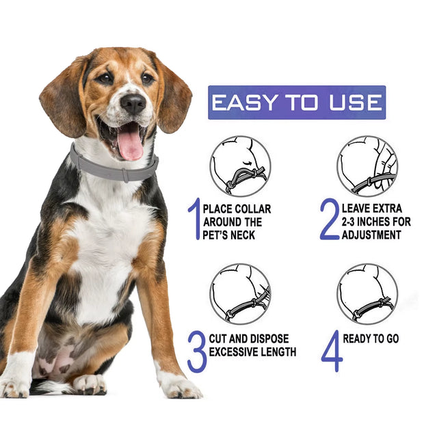Pet Flea and Tick Collar for Dogs Cats up to 8 Month Flea Tick Prevention Collar Anti-Mosquito & Insect Repellent Puppy Supplies