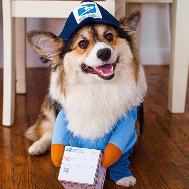 Funny Courier Dog Pet Cat Clothes Halloween Pet Costumes Decorative Cosplay Medium Large Dogs Costume