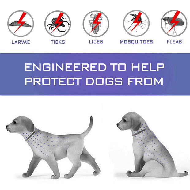 Pet Flea and Tick Collar for Dogs Cats up to 8 Month Flea Tick Prevention Collar Anti-Mosquito & Insect Repellent Puppy Supplies