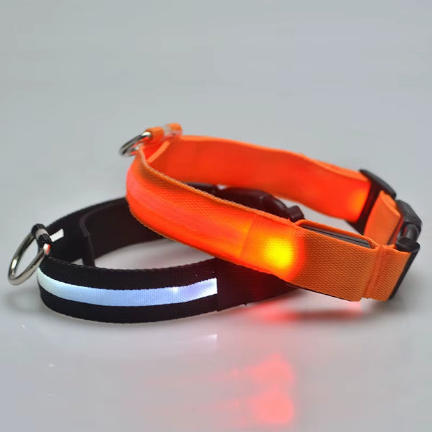 LED Dog Collar Dog Safety Night Light Flashing Necklace Fluorescent Collars Pet Supplies Collar LED Lights Up