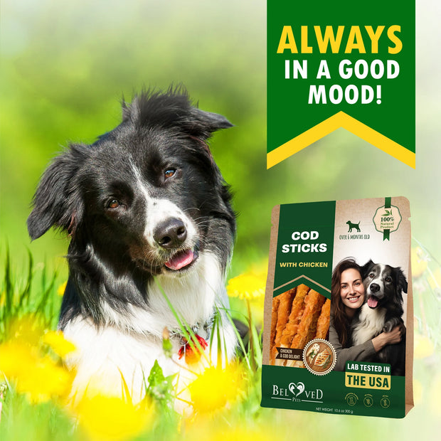 Cod Sticks Dog Treats Chicken Wrapped - All Natural Rawhide - Free & Grain Free Long Lasting Chews for Large & Small Dogs - Support Healthy Teeth & Skin Coat