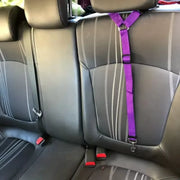Pet Dog and Cat Seat Belt Car Headrest Restraint Adjustable Safety Rope Car Seat Belt Dog Accessorie for Small Dogs Pet Supplies