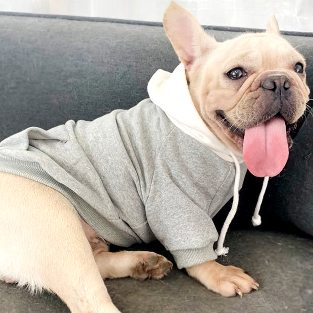 Miflame Casual Dog Matching Owner Set French Bulldog Corgi Pug Hoodies Small Dogs and Owner Matching Outfits Family Pet Clothes