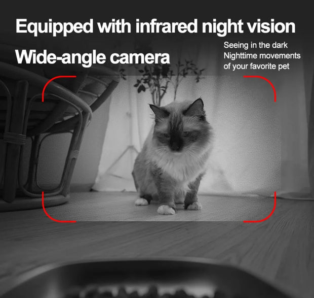 Automatic Pet Feeder