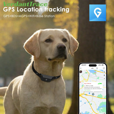 IP67 Waterproof 4G GPS Pet Tracker Collar Real-Time Tracking,Anti-Lost Locator for Dogs Fashionable Neck Collar Pet Tracker