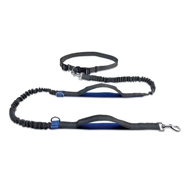 Retractable Hands Free Dog Leash for Running Judge Leash Large Dog Pet Supplies